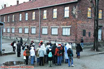 IMG_ (11752)